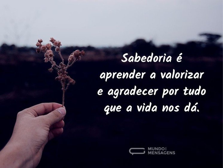 Sabedoria é aprender a valorizar e agradecer por tudo que a vida nos dá. - imagem