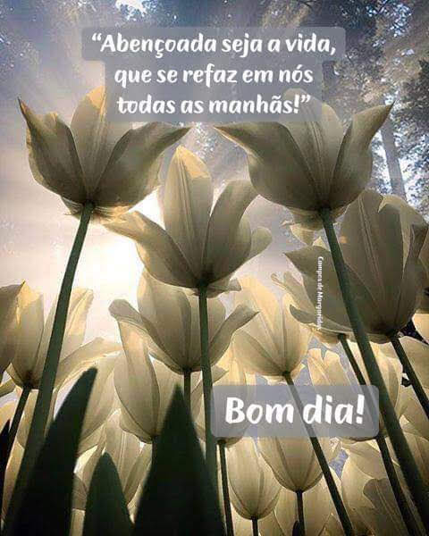 Abençoada seja a vida!imagem