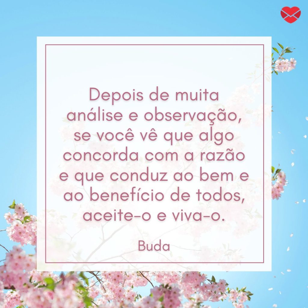 Não acredite em algo simplesmente porque ouviu -imagem